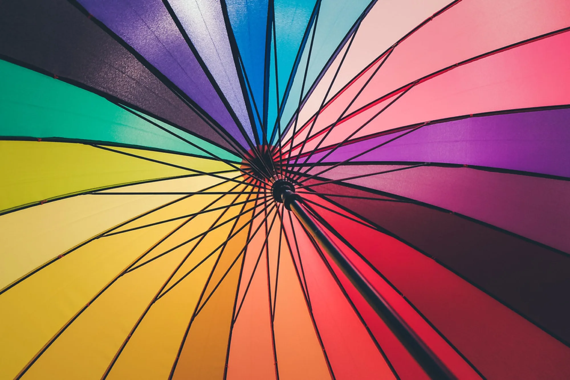 A wheel of color. Misc photography by Robin Mehdee, South Florida.